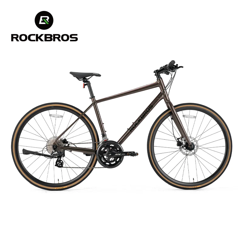 ROCKBROS RIDA-P2E 700C Road Bike Flat Handlebar 8 Speed Aluminum Alloy - Image 18